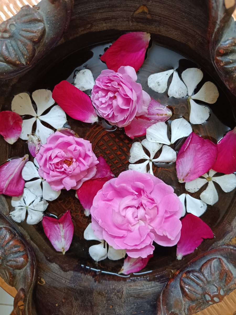 Kavya_Ras's tweet photo. #Poetic_Window

"Flowers spread
fragrance and beauty
even as broken
petals until they
shrivel and dry.
We might feel
broken at times
but let's spread joy
and warmth
as long as we last."

- Dr. Manisha Saxena✍️
@drmanishasaxena
#Flowers #vss365
#TwitterPoetry 
#poetrycommunity https://t.co/zb49OictqP