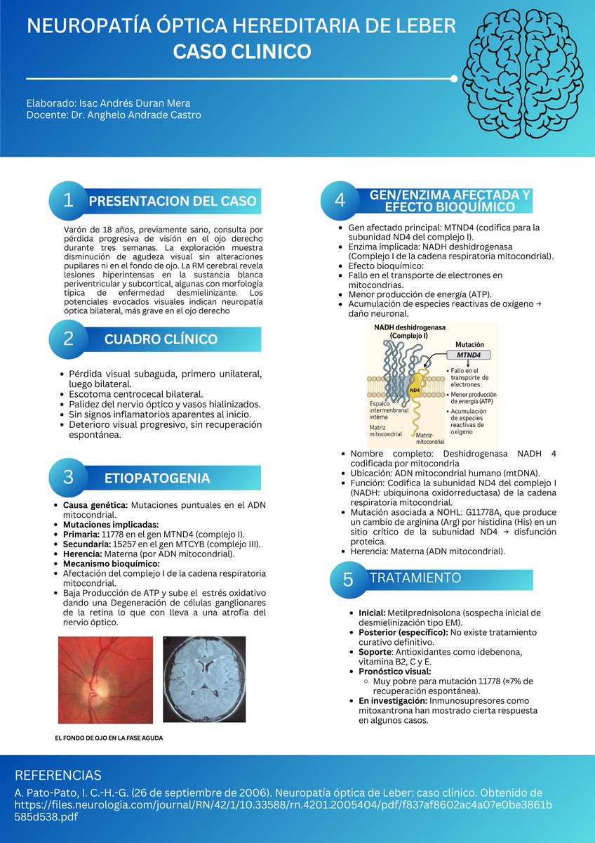 Andres242381906's tweet photo. Y si la causa de todo esta en un gen, Un análisis de una enfermedad mitocondrial que afecta la visión en jóvenes. Genética, bioquímica y clínica en un solo caso real.
#UleamEsAcademia
#UleamEnBuenasManos
@Anghelo77ac 
@UleamEcuador https://t.co/DHywlv82H8