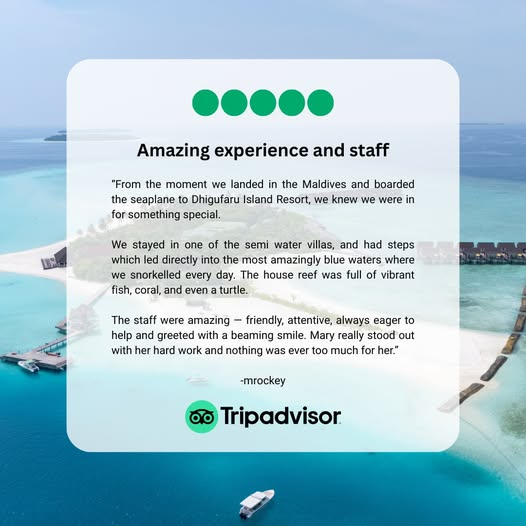 We’re proud to share one of our latest 5-bubble reviews on <a href="/Tripadvisor/">Tripadvisor</a>!

Thank you to our wonderful guests for the kind words and continued support! #5bubblereview