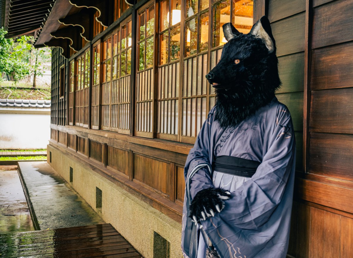 簷雨篩珠響未休，梅黃天色淡於秋。      

攝影：徐有慶
#FursuitEveryday