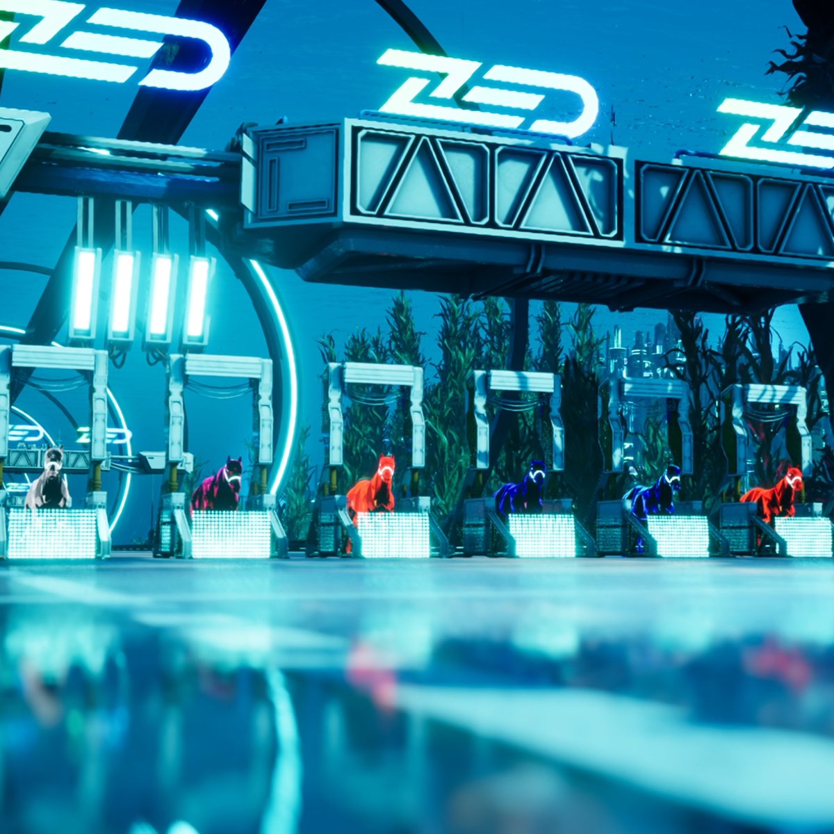 ZED CHAMPIONS tweet media