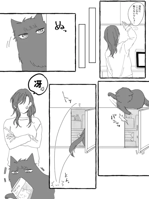 Mission failed…🐱💦(sern) 