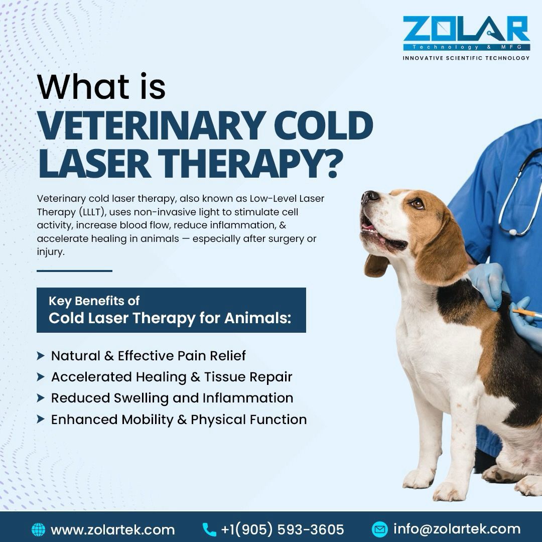 yourdentallaser's tweet photo. 🐾 Help your pet heal faster with Cold Laser Therapy!
Non-invasive, pain-free, and perfect for post-surgery or injury recovery. Boost mobility, reduce inflammation &amp; bring back the bounce! 🐶💙
📞 +1 (905) 593-3605
🌐 https://t.co/VVQxEtCHMm
#PetCare #ColdLaserTherapy #ZolarTek https://t.co/G4kUyEAzNs