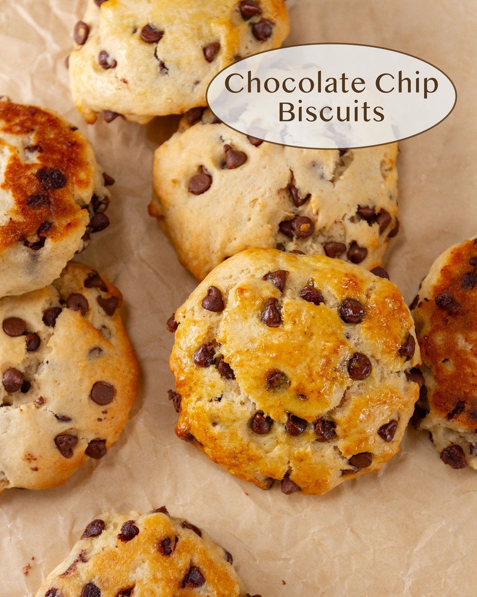 Chocolate Chip Biscuits lifecurrentsblog.com/chocolate-chip…