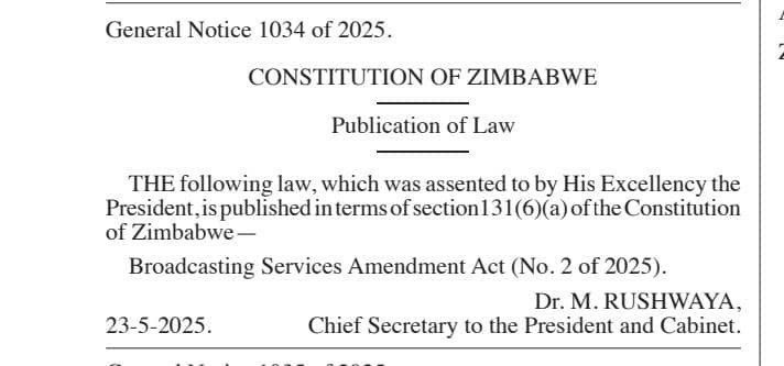 Hopewell Chin’ono tweet media