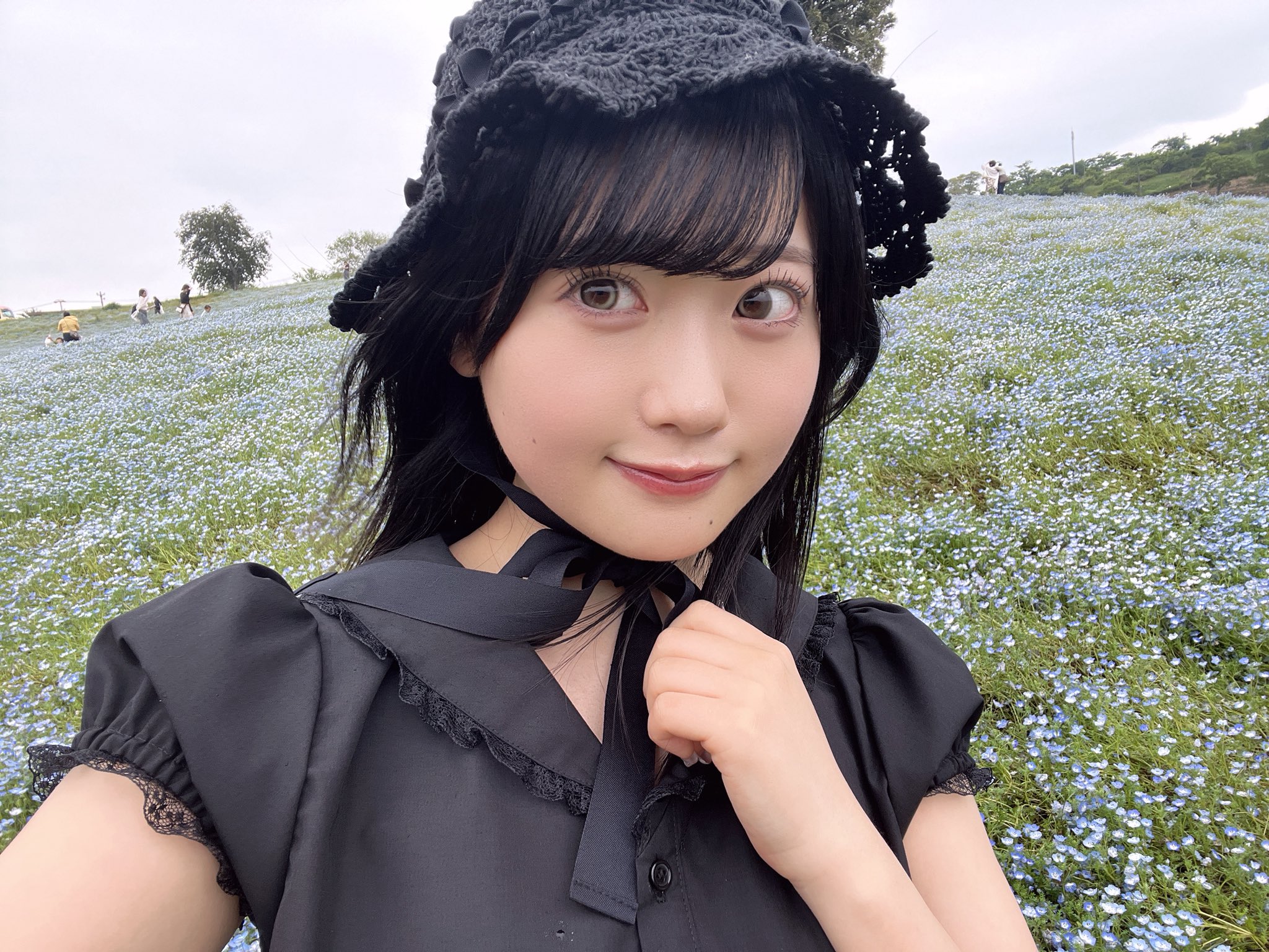 布袋 百椛 on X: 