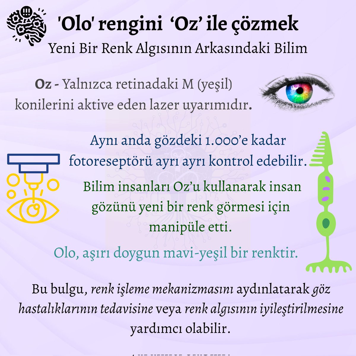 NeurosciforAll's tweet image. 🧠 Decoding 'Olo' with ‘Oz’*** ‘ஓஸ்’ வழியே ‘ஓலோ’வைக் கண்டறிதல் *** 'Oz'ನೊಂದಿಗೆ 'olo' ವನ್ನು ಭೇದನೆ ಮಾಡುವುದು *** 'Olo' rengini ‘Oz’ ile çözmek
📖 1. neurosciencenews.com/olo-oz-visual-…
2. Fong, J. et al. (2025) doi.org/10.1126/sciadv…
#neuroscienceforall