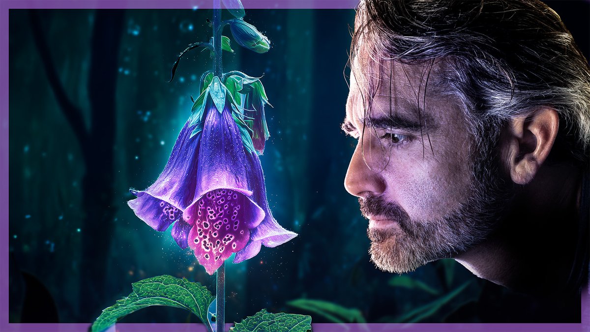 Just dropped a new youtube video on StoneAgeMan about this incredible plant! ;)