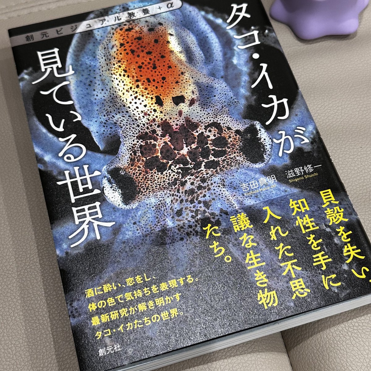タコ・イカが見ている世界」 頭足類が好きです。水族館に行くとイカの