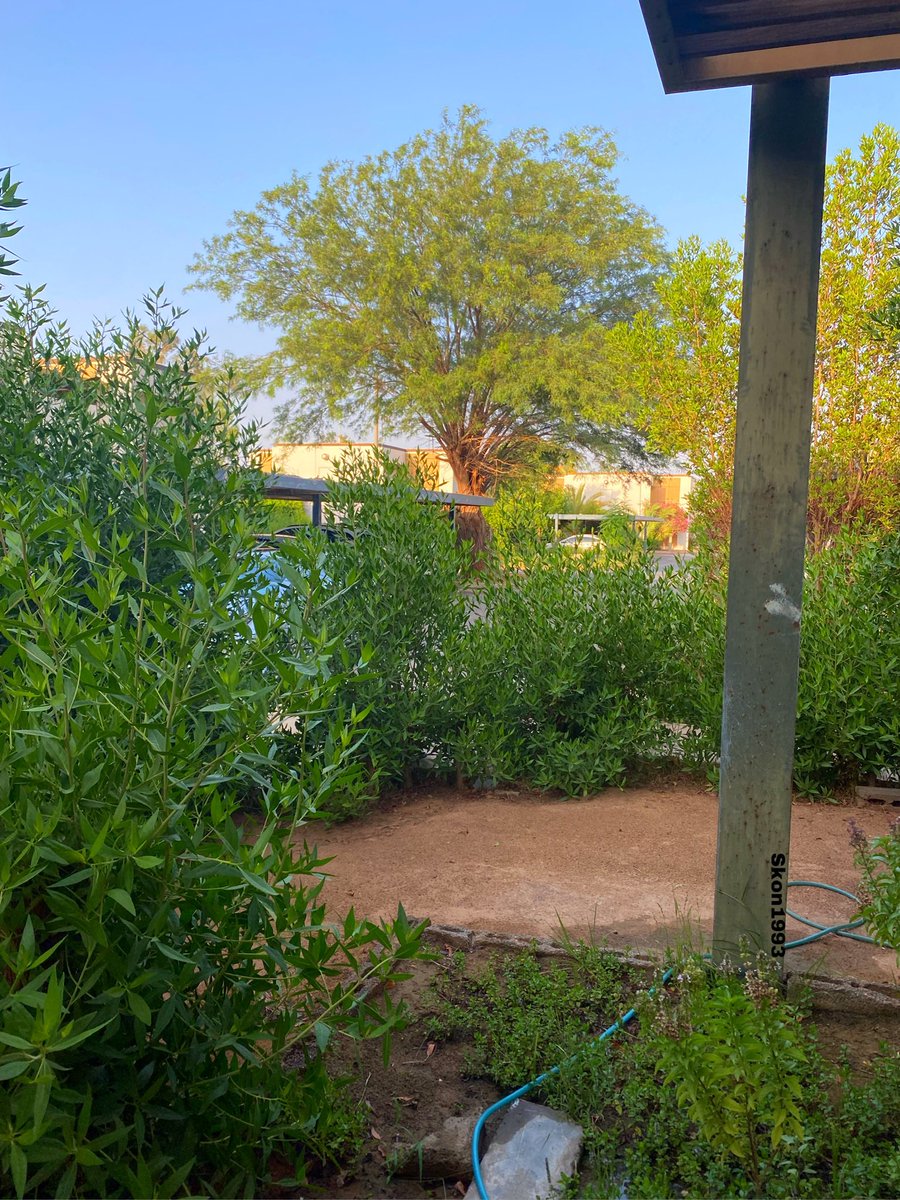 لا تيأس ابدًا من إصلاح نفسك ❤️