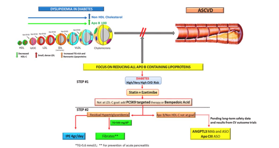 👉Lipid-lowering in diabetes: An update

Comprehensive update on lipid management in diabetes.

☝️This review highlights the central role of apoB-containing lipoproteins and supports early combination therapy (statin + ezetimibe) to achieve LDL-C targets in high-risk patients.