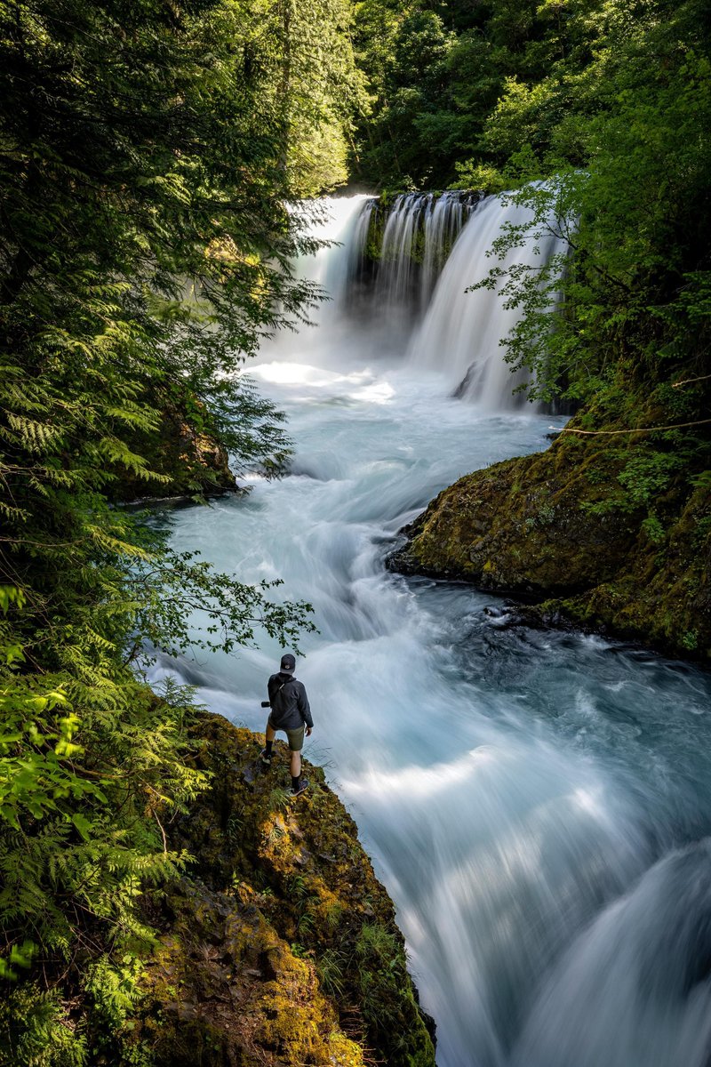 HeatherP489199's tweet image. Spring hikes are calling! 🌳 Explore trails bursting with new life. #SpringHiking #NatureLover