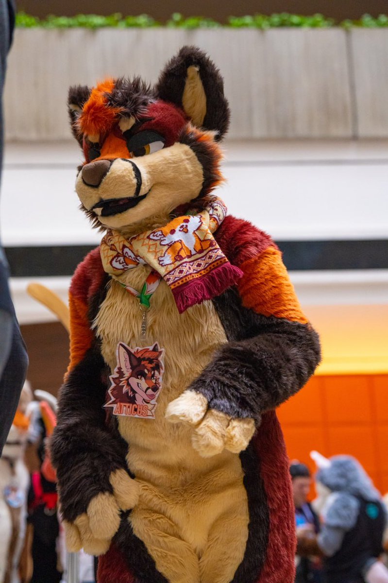 tozuskunk's tweet photo. Fursuiter + What they drive :) https://t.co/maravOjur6