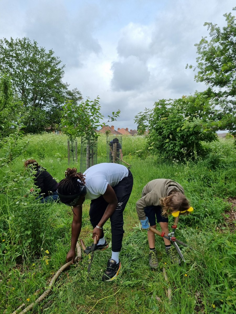 fruitnutvillage's tweet image. A fun #BankHolidayMonday morning at #KingdomForestGarden today. We are coping with the plant growth... but we can always use more people! 16 people today... but we can find work for many more. We're back on 2nd June 25.
