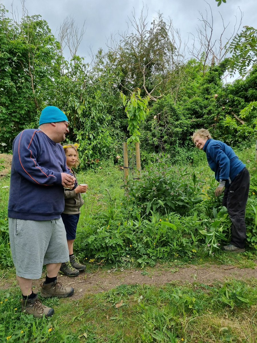 fruitnutvillage's tweet image. A fun #BankHolidayMonday morning at #KingdomForestGarden today. We are coping with the plant growth... but we can always use more people! 16 people today... but we can find work for many more. We're back on 2nd June 25.