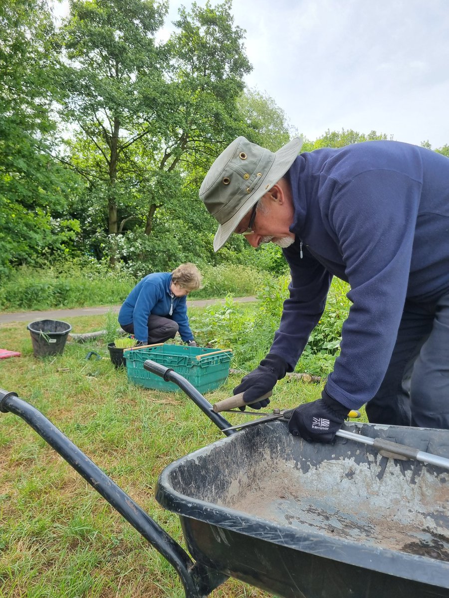 fruitnutvillage's tweet image. A fun #BankHolidayMonday morning at #KingdomForestGarden today. We are coping with the plant growth... but we can always use more people! 16 people today... but we can find work for many more. We're back on 2nd June 25.