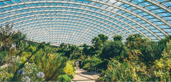 The National Botanic Garden of Wales celebrates 25 years

Read more via #HortNews >> hortnews.com/articles/horti…

<a href="/walesbotanic/">🏴󠁧󠁢󠁷󠁬󠁳󠁿 Gardd Cymru 🌿 Garden of Wales</a> <a href="/WalesBotanicEdu/">Addysg/Education National Botanic Garden of Wales</a>