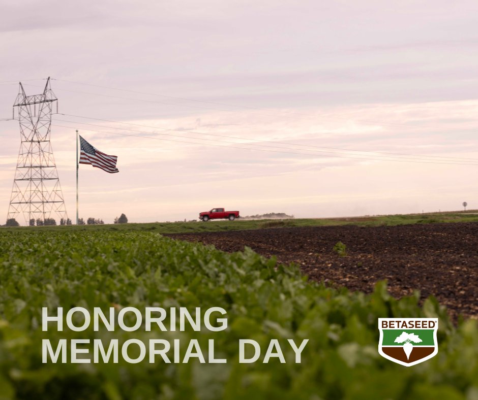 In honor of #MemorialDay we're remembering and thanking everyone who has helped to ensure our freedom. As we honor their courage, #Betaseed thanks our farmers who provide and nourish our communities as we continue to work towards a more prosperous future. 🌾🌱