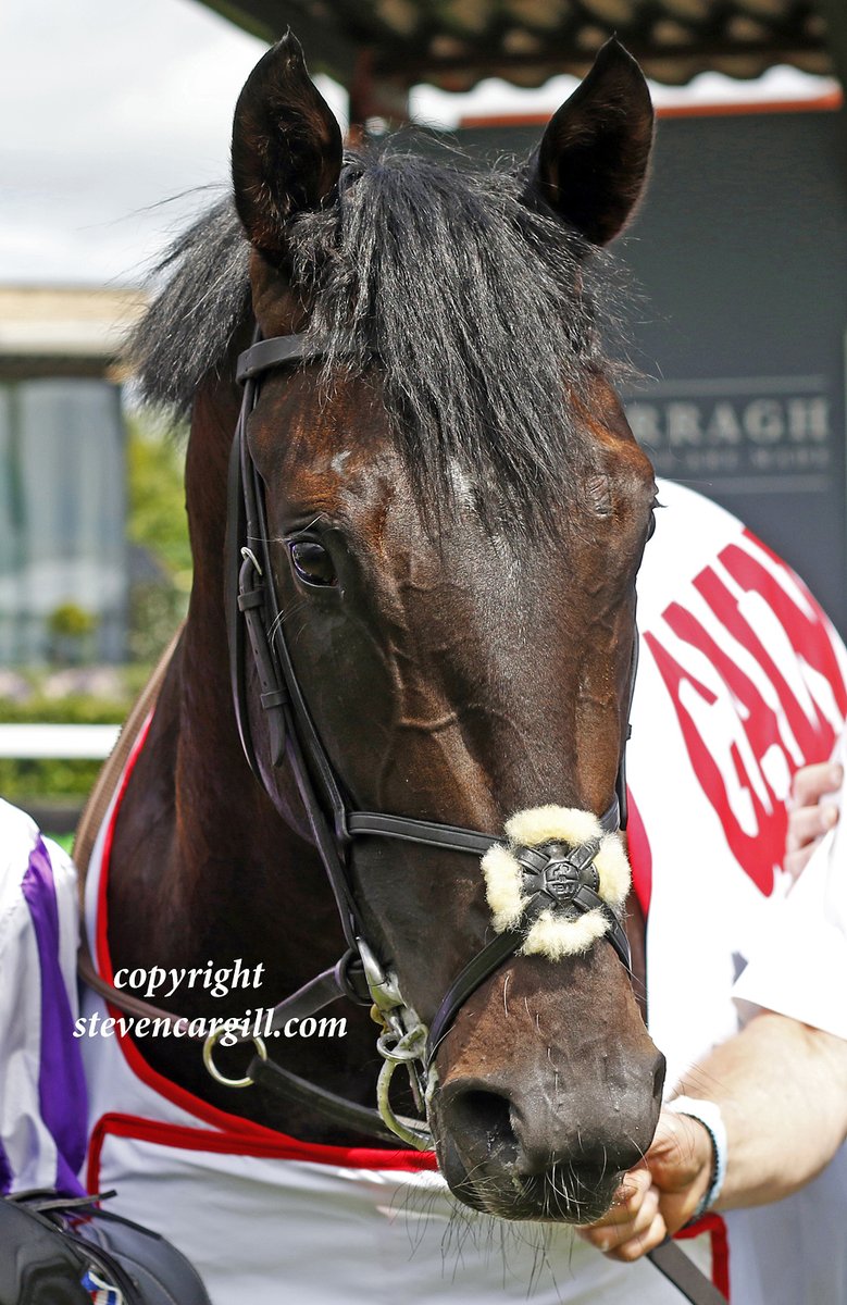 Steven Cargill (@steven_cargill) on Twitter photo Now 2/2, colt ALBERT EINSTEIN wins 6f 2yo G3 Marble Hill Stakes <a href="/curraghrace/">The Curragh Racecourse</a> yesterday for <a href="/coolmorestud/">Coolmore</a> Wootton Bassett <a href="/Ballydoyle/">Ballydoyle Racing</a> Now 2/2, colt ALBERT EINSTEIN wins 6f 2yo G3 Marble Hill Stakes <a href="/curraghrace/">The Curragh Racecourse</a> yesterday for <a href="/coolmorestud/">Coolmore</a> Wootton Bassett <a href="/Ballydoyle/">Ballydoyle Racing</a>