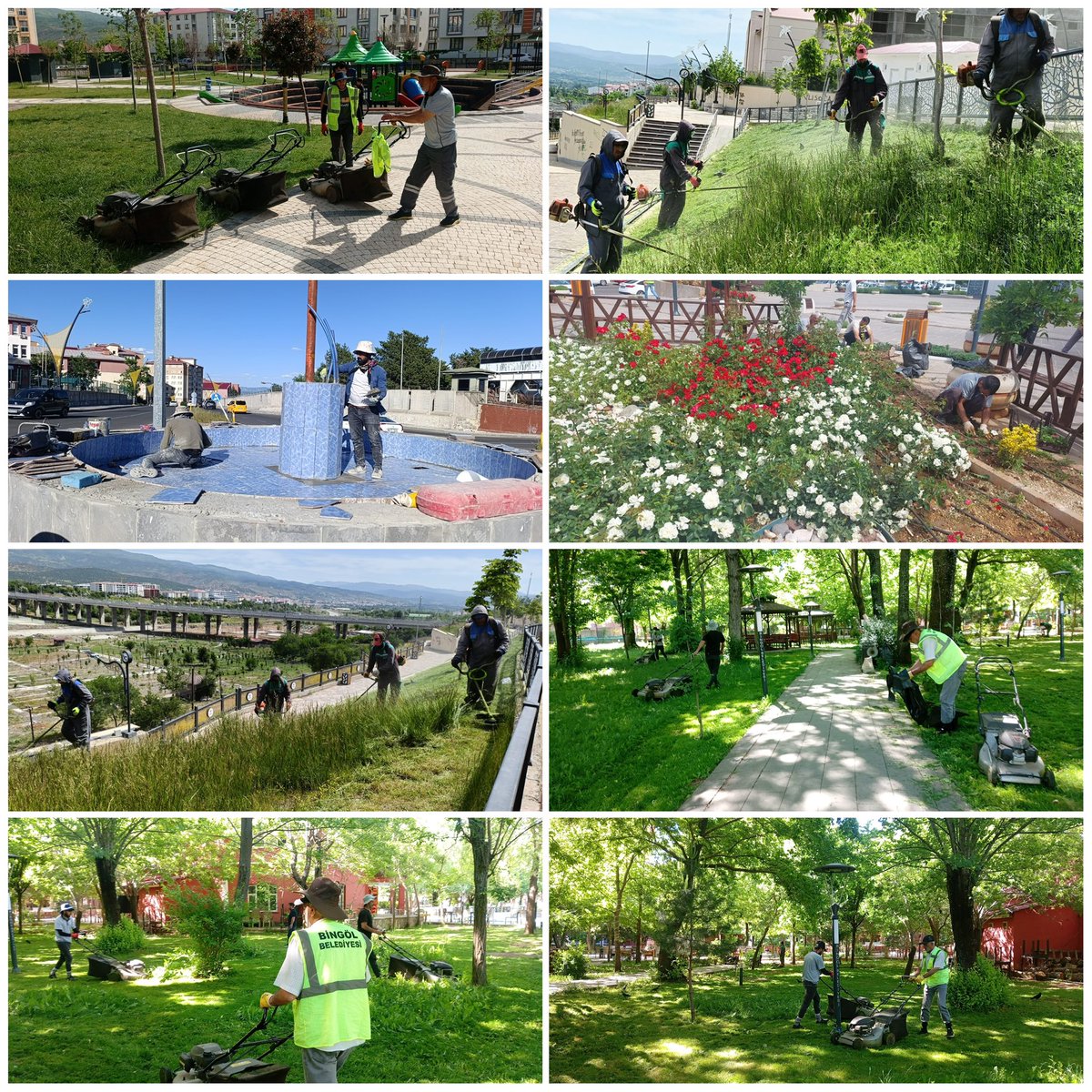 bingolbel's tweet photo. 📍 Her köşesinde emek, her detayında özen var. 🌼 

Park ve Bahçeler Müdürlüğü ekiplerimiz, kent genelinde bakım ve temizlik çalışmalarını aralıksız sürdürüyor.

✅ Çim biçme
✅ Budama
✅ Peyzaj düzenlemeleri
✅ Çiçeklendirme çalışmaları
✅ Park ve yeşil alan temizliği

@bingolparkbahce @volkanaybek12