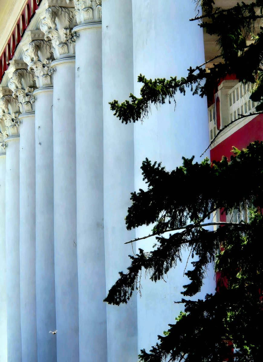 Сайхан амраарай Таминь. 
Шугам зургийг бол хашраадаг байлаа гэж.
Гайхалтай биш гэжүү. 
Шил толь болсон хэдэн өндөр цемент шохой ч дээ.
Нэг орцонд 300 илүү хүн амьдарч байна гэхээр..газар оронгүй Гонконгийн аймаар амьдрал харагдаад байдаг юм.