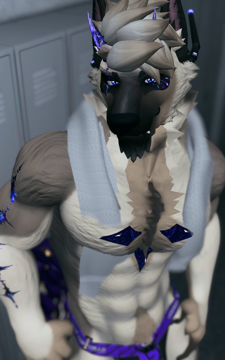 Sinuryl's tweet photo. Empty locker rooms 🙏 

#furry https://t.co/O9KgdTNtuk