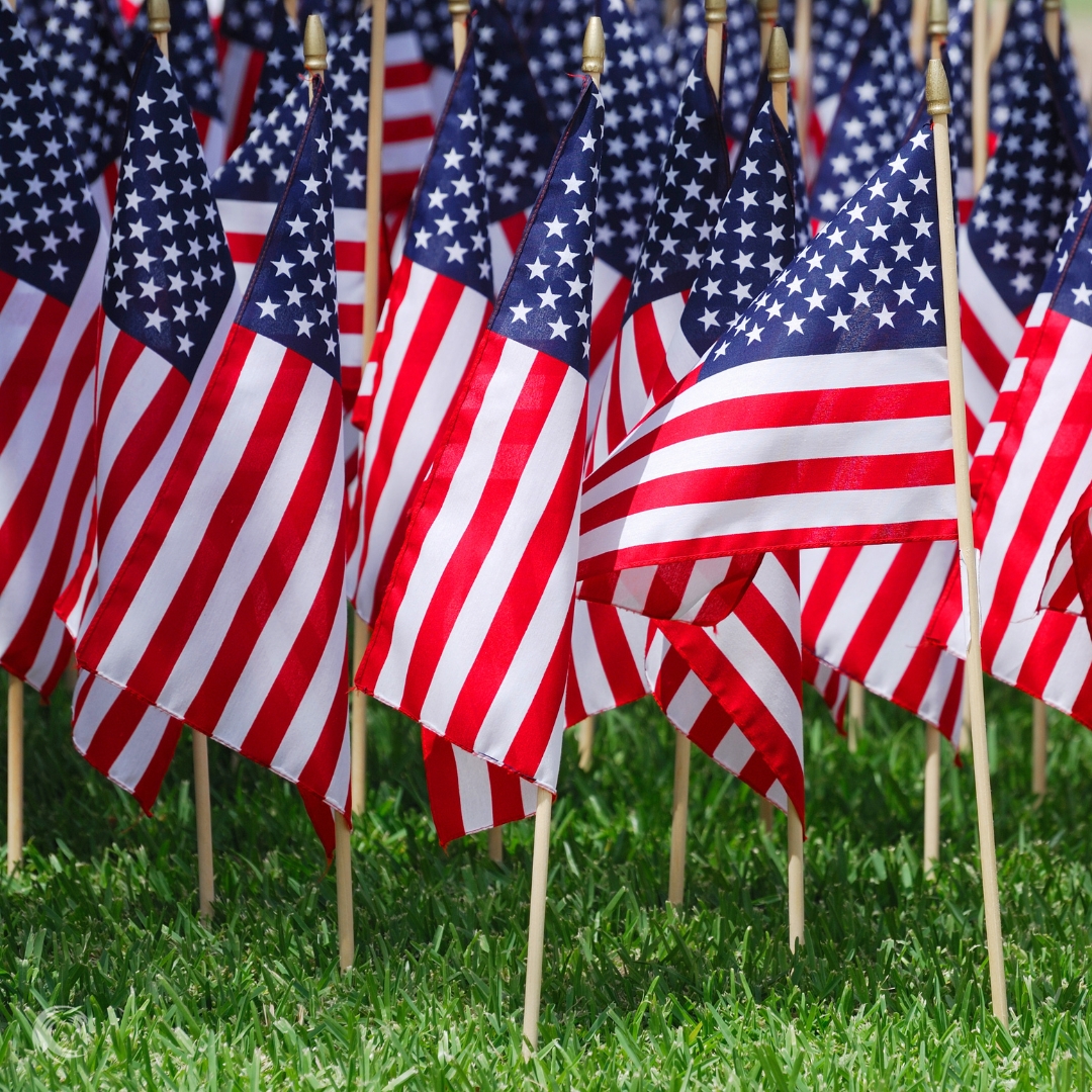 New Wave Energy tweet media