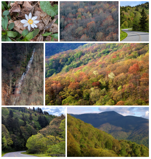 parkwaycolors's tweet image. 2025 Spring Color Season is over ๐ผ
๐๏ธ coverage lasted 75 days
๐ over 860 miles driven
๐ธ B + grade for the season
Season overview on site
Summer color season coverage begins next month