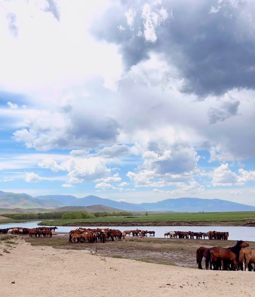 ...Сайхан сэтгэлтэй байна гэдэг том ухамсар том шагнал юм шүү
   Муу санаж муу үйл хийж явахад амьдрал дэндүү богинохон...
Сайхан амарцгаагаарай!