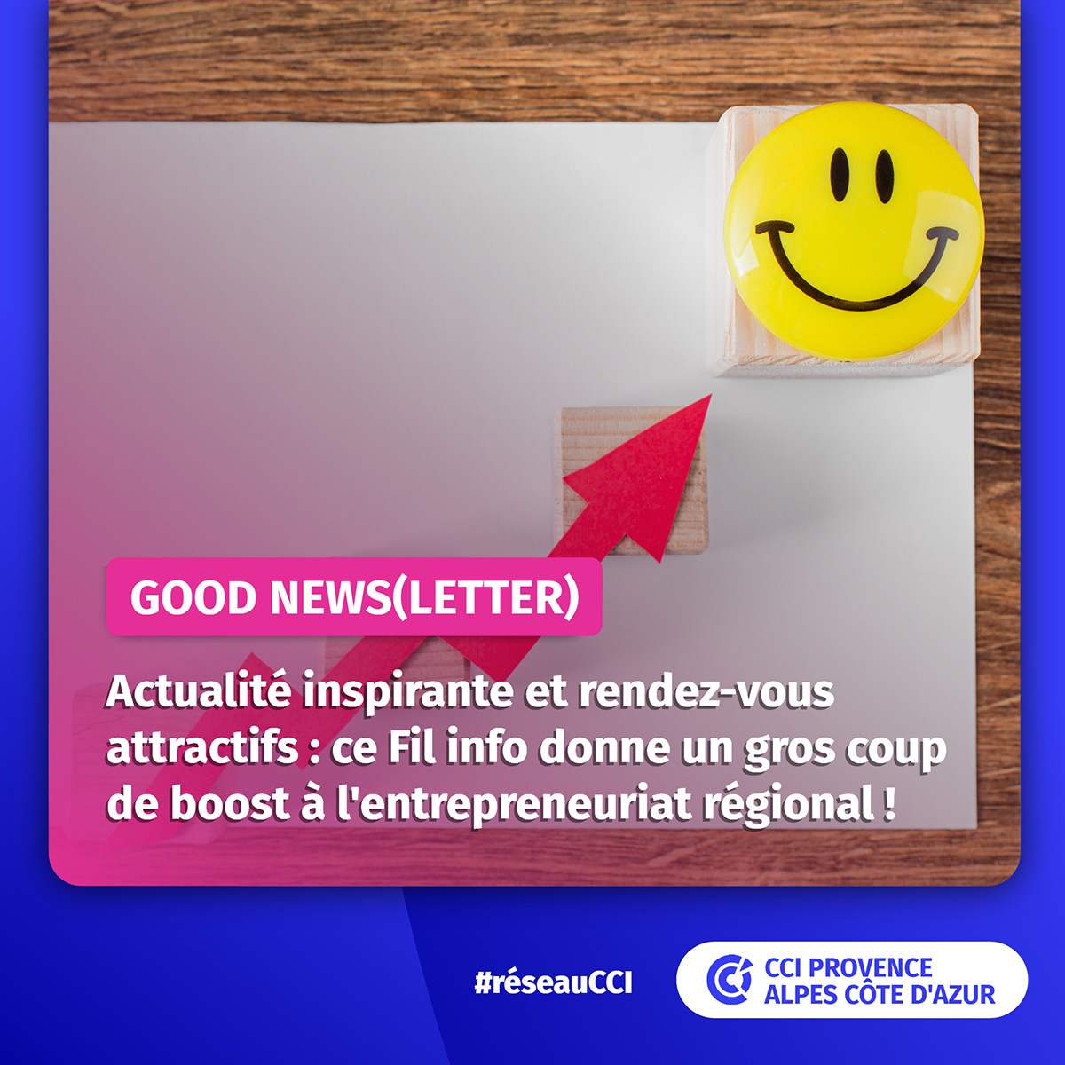 Pour votre #LundiMotivation, piochez un concentré de bonnes nouvelles régionales dans notre dernière #newsletter 📥😎🎯 #réseauCCI #Territoires #régionSud #TrophéesduCommerce #Décarbonation #Entrepreneures #Economie... 
▶️🆙🆓urls.fr/VT2miW
