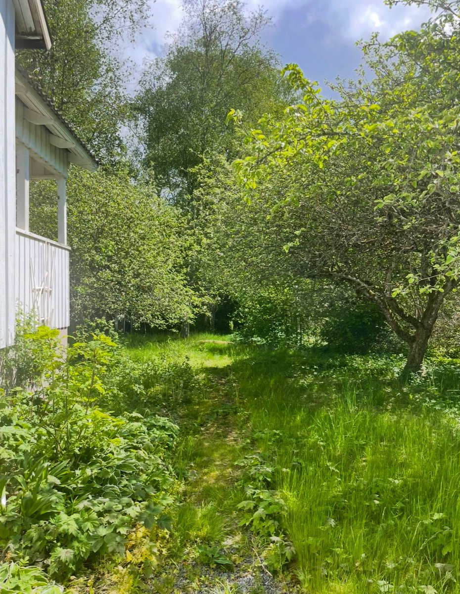 Ska öppna upp trädgården för offentligheten och erbjuda djungelsafari.