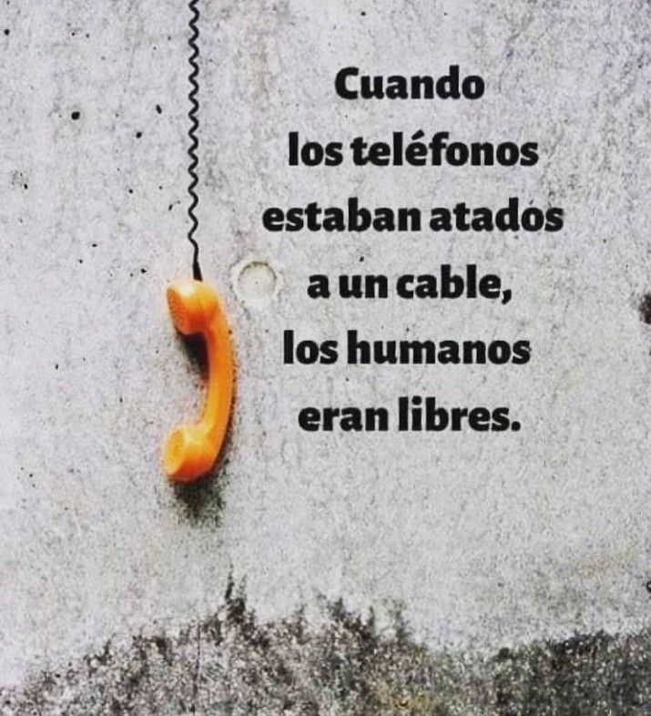 Hoy tenemos más conexión digital, pero menos conexión real.

⏩Esta semana, regálate momentos sin pantalla: respira, conversa, escucha.
Lo más valioso no necesita WiFi.

#PsicAliciaDdeP #DraDescanso #conciencia
#lunes #bienestar