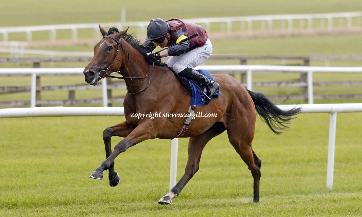 Steven Cargill (@steven_cargill) on Twitter photo 2nd start, SHARPEN (Fastnet Rock) wins 10f 3yo fillies maiden <a href="/curraghrace/">The Curragh Racecourse</a> yesterday for trainer Donnacha O'Brien 2nd start, SHARPEN (Fastnet Rock) wins 10f 3yo fillies maiden <a href="/curraghrace/">The Curragh Racecourse</a> yesterday for trainer Donnacha O'Brien