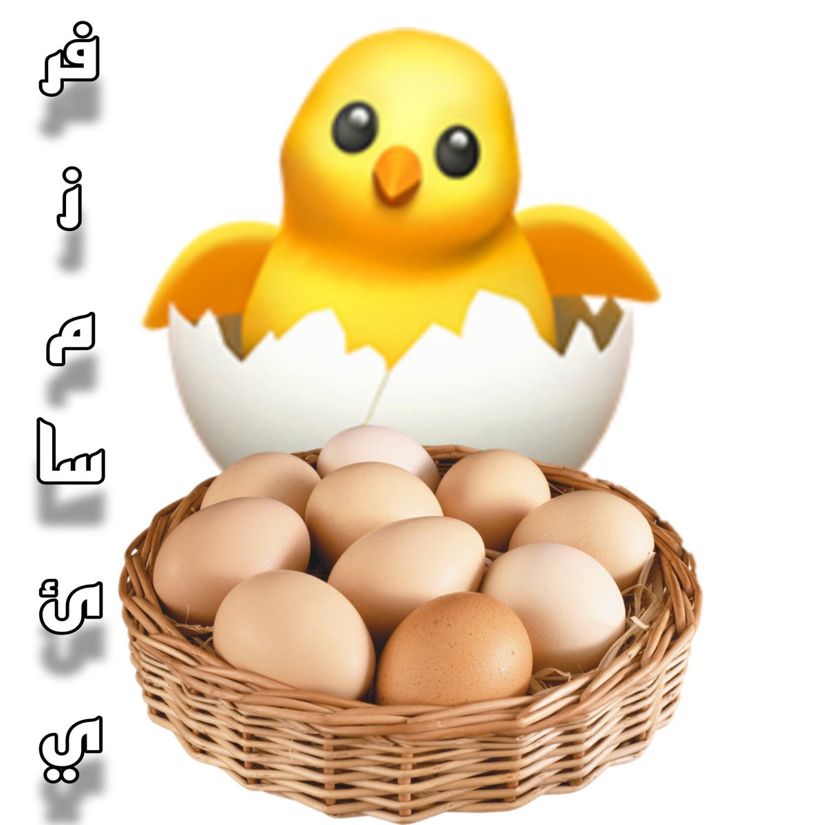 basmah14_'s tweet photo. ,🐣🐥#فرز_مسائي🐥🐣
#فرز_نشط
💫#بداية💫 
    ⇣
🌟🌟
🌟🌟 
❁↡↡❁↡↡❁
📍
⤵️⤵️ 
🦋🦋 
🐣@bs___m10🐣
🐣@bs___m10🐣
🦋🌙🦋
📍
⤵️⤵️ 
���🦋   
🐣@ss____ij7🐣
🐣@ss____ij7🐣
🦋🦋

By : 
💫@A_m_d27💫

موفقين الجميع ♥️♥️🤍 https://t.co/qzl3g647tD