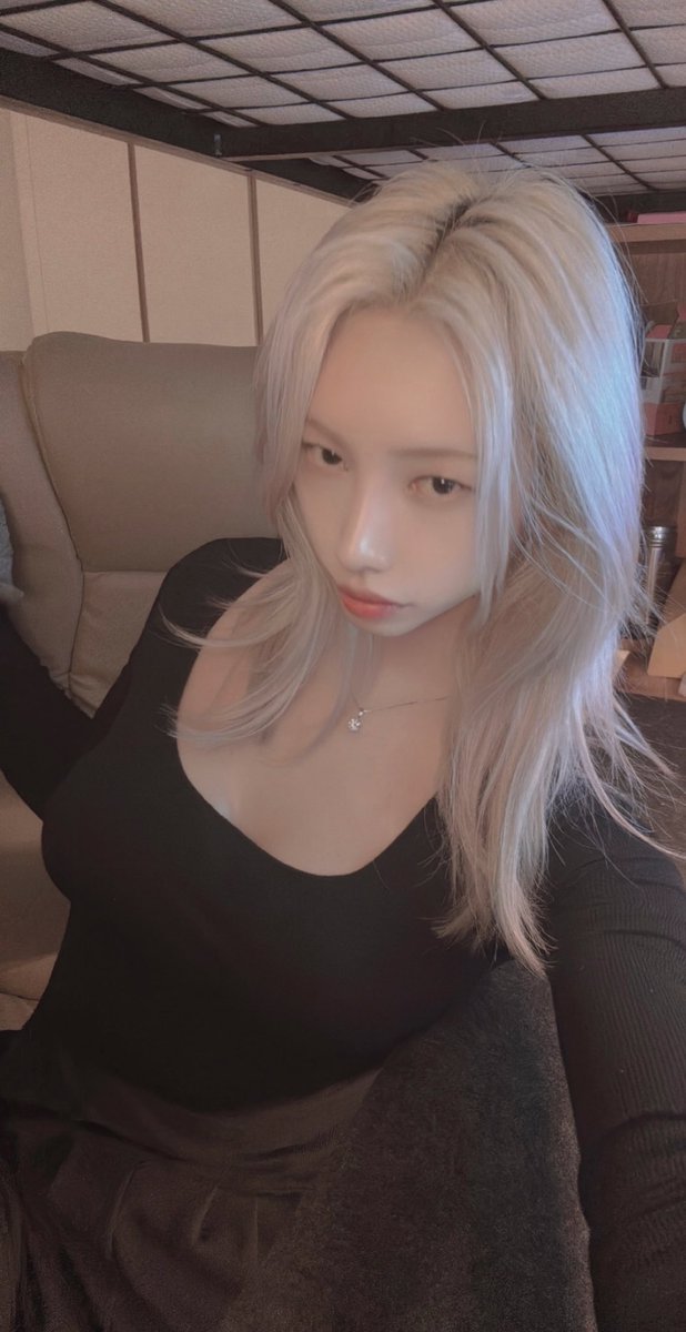 X 디엠 오류인가봐….