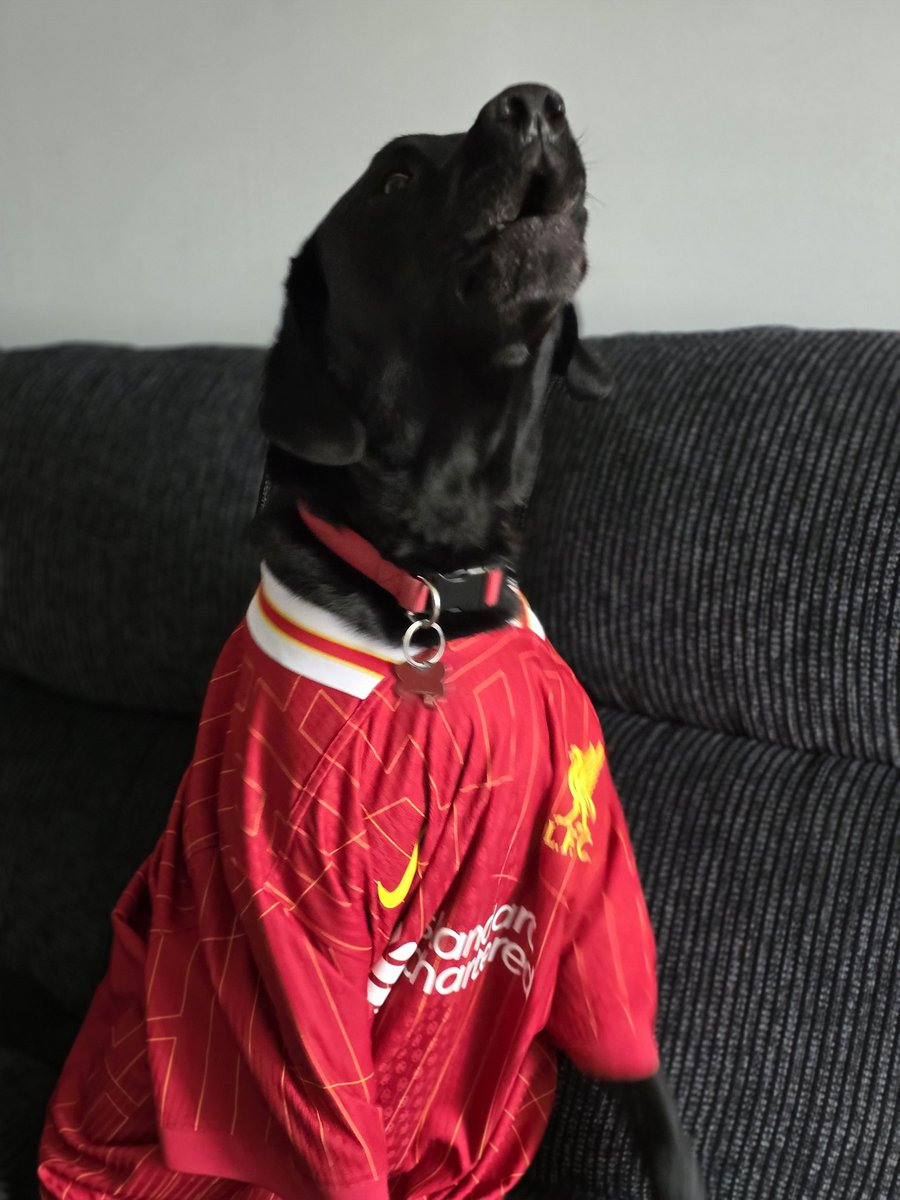 Billy is ready for the parade today. Is right Billy lad. 2️⃣0️⃣🔙🔛🔝🏆⚽