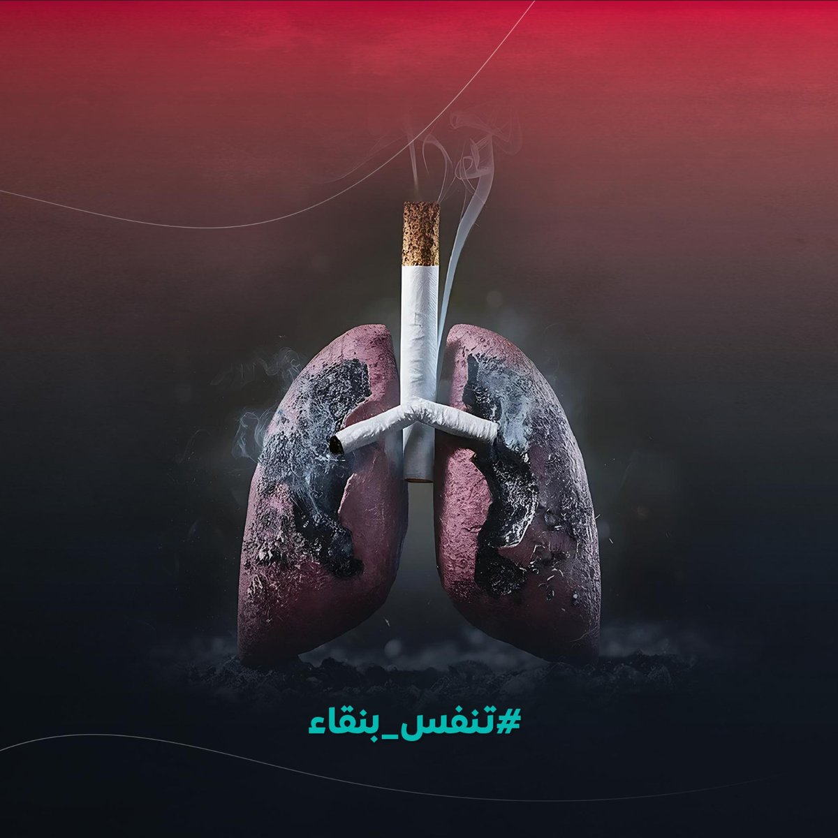 خطوة واحدة نحو حياة أفضل ارمِ السيجارة ! ✋ 

#اليوم_العالمي_للتدخين
#تسويق