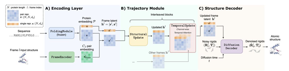 BiologyAIDaily's tweet photo. Simultaneous Modeling of Protein Conformation and Dynamics via Autoregression

１．This paper introduces CONFROVER, the first autoregressive model capable of simultaneously generating protein conformations and their dynamic trajectories, unifying time-dependent, time-independent, and interpolative sampling in a single framework.

２．CONFROVER models molecular dynamics trajectories through autoregressive factorization, allowing it to learn both conformational distributions and transitions directly from MD simulation data without relying on Markovian assumptions or fixed-length contexts.

３．Its modular architecture includes: (i) a protein-aware encoder leveraging OpenFold representations, (ii) a causal transformer-based temporal module for latent sequence modeling, and (iii) a SE(3) diffusion model for 3D conformation generation—ensuring high spatial fidelity and temporal flexibility.

４．Unlike prior models that treat conformations as discrete tokens or require separate models for different tasks, CONFROVER directly operates in continuous SE(3) space using denoising score matching loss, preserving geometric accuracy and enabling diverse sampling modes.

５．Experiments on the ATLAS dataset show CONFROVER significantly outperforms the previous SOTA MDGEN in trajectory simulation, with improved Pearson correlations in both RMSD and PCA space, indicating better capture of real protein dynamics.

６．It also matches or exceeds the performance of specialized models like ALPHAFLOW and CONFDIFF in time-independent conformation sampling, despite being trained as a general-purpose model—demonstrating strong versatility and generalization.

７．Through hybrid training (combining trajectory, single-frame, and interpolation objectives), CONFROVER can also generate smooth and accurate transition pathways between conformations, an essential feature for modeling functional state changes in proteins.

８．CONFROVER-MASK, a variant using masked sequence modeling, shows the framework's extensibility but lacks the inference flexibility and trajectory fidelity of the autoregressive (causal) version—highlighting the practical benefits of causal modeling for variable-length sequence generation.

９．In 100 ns simulation tests, CONFROVER achieves higher recall and F1 scores in recovering conformational states than MDGEN and shows strong alignment with principal dynamic modes extracted from MD using time-lagged ICA.

１０．The model is efficient: generating an 80-frame trajectory (~100 ns) takes only 8.3 minutes, compared to 10 hours for traditional MD simulations—offering a substantial speedup for exploratory or large-scale applications.

１１．While CONFROVER narrows the gap between deep generative models and physics-based MD, it still faces limitations in modeling large-scale conformational transitions and energy landscapes; further improvements may come from scaling data, adding energy terms, or optimizing structure modules.

１２．CONFROVER provides a flexible and unified generative modeling framework for protein dynamics and structures, paving the way for more efficient, generalizable, and task-agnostic models in molecular simulation and protein engineering.

📜Paper: https://t.co/Zmz6xA97Kz
#ProteinDynamics #MolecularSimulation #AutoregressiveModel #SE3Diffusion #ProteinFolding #MDtrajectory #CONFROVER #ComputationalBiology #StructuralBioinformatics