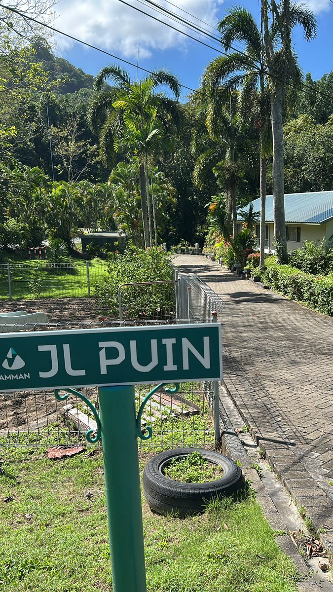b4dl1ps's tweet photo. Kesendirian seperti itu bukan bersembunyi, tapi keutuhan dan momen paling jujur ​​antara manusia, alam semesta, dan tuhan. https://t.co/0DViPfEw2c