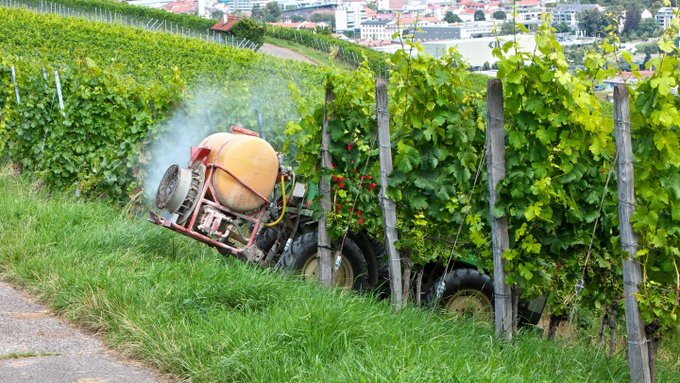 Pierre_Lamely's tweet photo. 🤡Neues absurdes Kapitel aus der #EU! Winzer in Europa dürfen das altbewährte, kostengünstige und umweltfreundliche Natriumhydrogencarbonat, bekannt als Backpulver, nicht länger gegen Mehltau verwenden. Stattdessen wurde ein nahezu identisches Industrieprodukt als offizielles Pflanzenschutzmittel zum sechsfachen Preis zugelassen! Da haben die Lobbyisten ganze Arbeit geleistet! Während unsere Landwirte ums Überleben kämpfen, treibt Brüssel sie weiter in die Ecke.! #AfD https://t.co/tn5jPiytVM