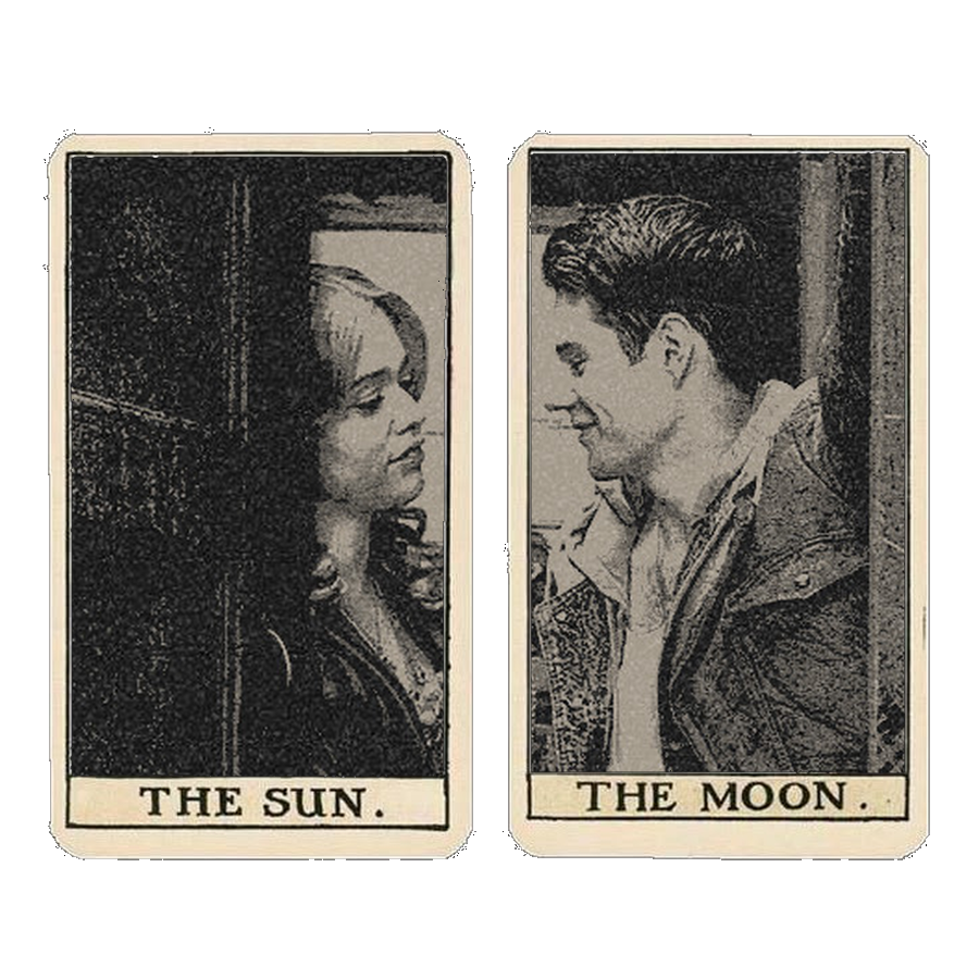 𝐀𝐋𝐁𝐈𝐎𝐍 (@albionfinch) on Twitter photo 