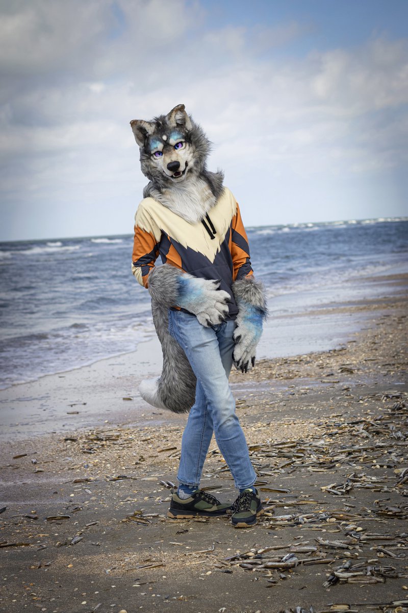 Fao Wusky (@faowusky) on Twitter photo Greetings from Denmark! 🇩🇰
✂️: <a href="/nagi_fursuit/">NAGI-Fursuit 🔜 UTFG2025</a>
(The beautiful hoodie is from <a href="/NomadDragonite/">Nargacuga🍐</a>)
📷: <a href="/FaoWusky/">Fao Wusky</a> & <a href="/Dragynus/">Dragybus</a>
📍: Rømø, DK Greetings from Denmark! 🇩🇰
✂️: <a href="/nagi_fursuit/">NAGI-Fursuit 🔜 UTFG2025</a>
(The beautiful hoodie is from <a href="/NomadDragonite/">Nargacuga🍐</a>)
📷: <a href="/FaoWusky/">Fao Wusky</a> & <a href="/Dragynus/">Dragybus</a>
📍: Rømø, DK