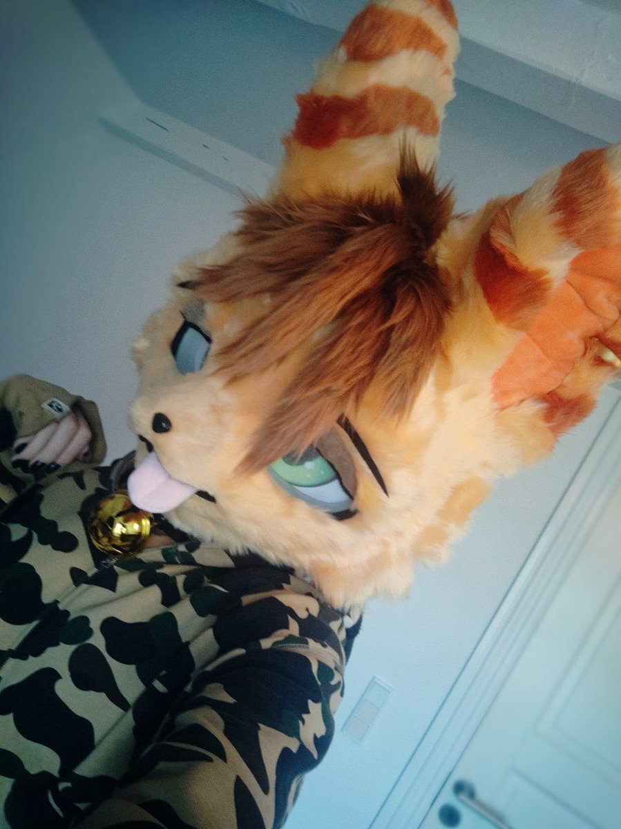 Mocha (@mocha_bat) on Twitter photo My new fursuit head arrived today!
Thanks to <a href="/Ruby_protogen/">RubyProtogenStudio</a> again ✨🦇 #furry #fursuit #fursuithead My new fursuit head arrived today!
Thanks to <a href="/Ruby_protogen/">RubyProtogenStudio</a> again ✨🦇 #furry #fursuit #fursuithead