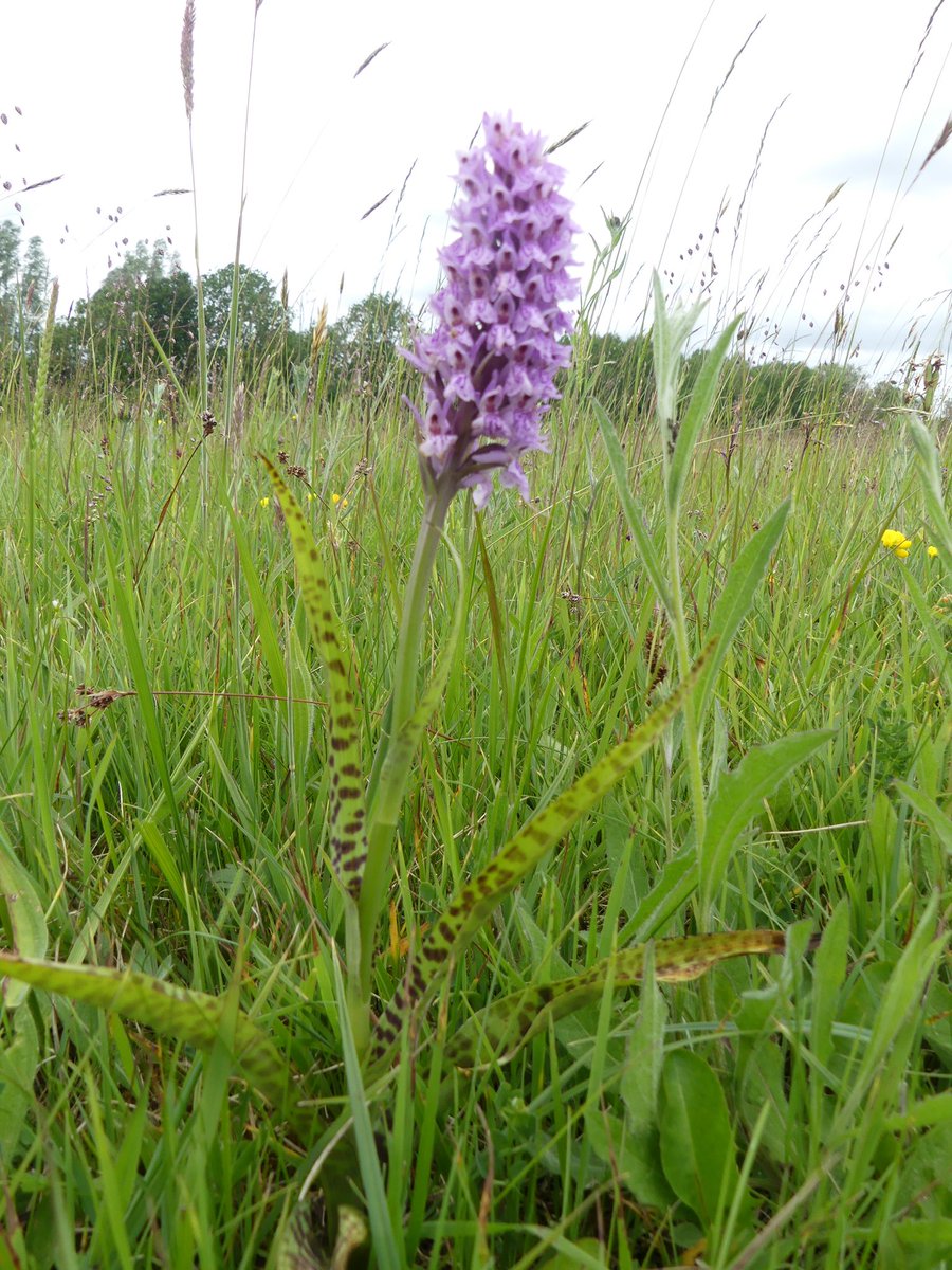 Duncan Dine tweet media