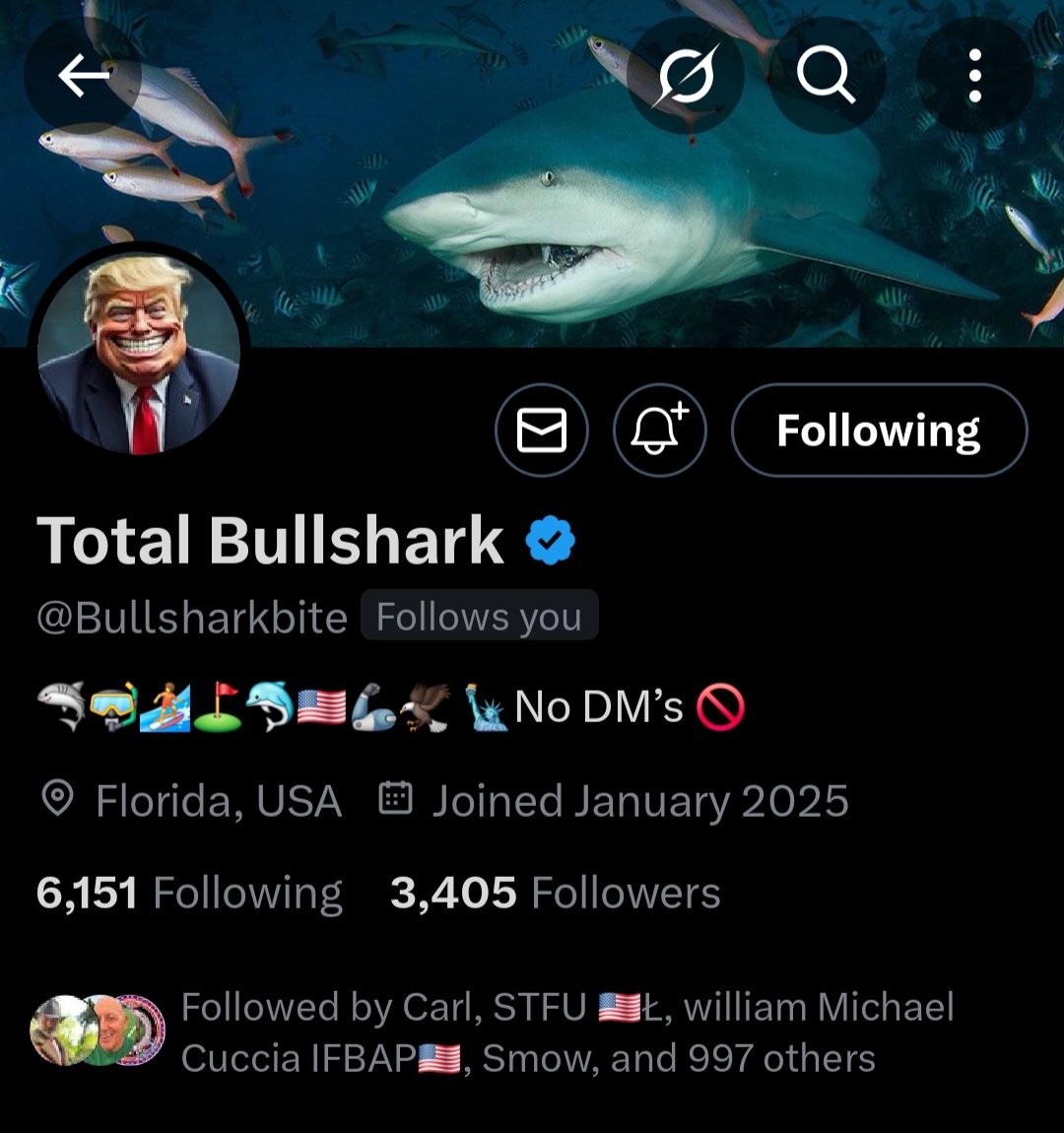 Does anyone have a follow available for <a href="/Bullsharkbite/">Total Bullshark</a>?