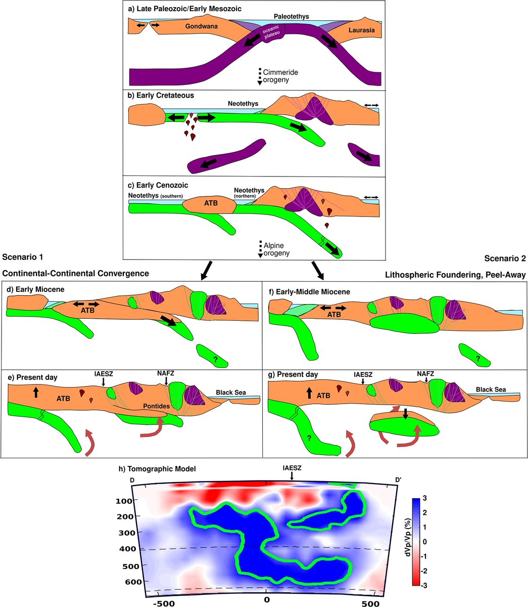 #NewResearchPublicationAlert 🐝
We are thrilled to announce our recent paper titled "Remnant Tethyan Slab Fragments Beneath Northern Türkiye" published by #Elsevier journal of #EarthandPlanetaryScienceLetters
| Volume 664 | Date 26 May 2025 | 119458 |
👉 doi.org/10.1016/j.epsl…