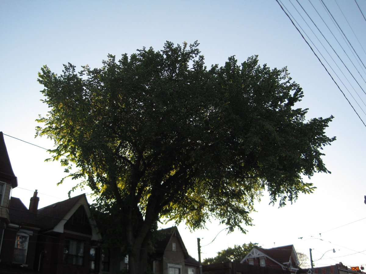 janinerosx's tweet image. testing the new camera