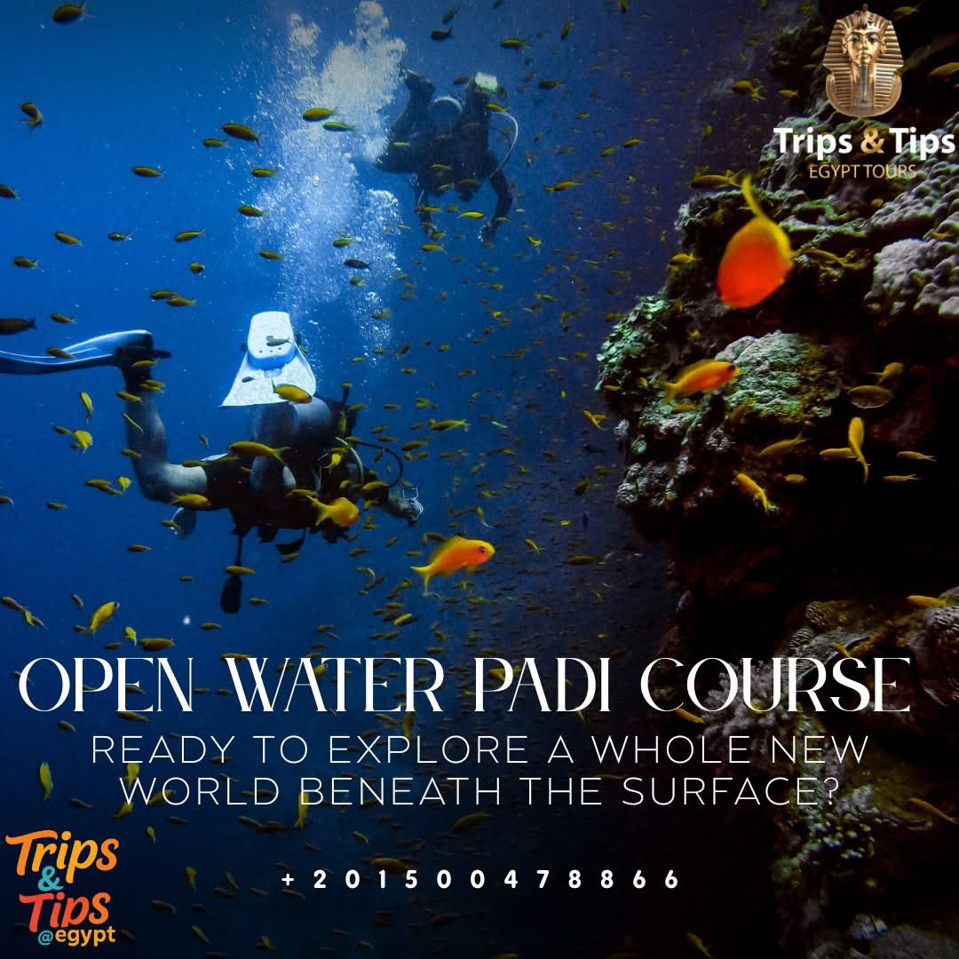 TRIPS_TIPS11's tweet image. Ready to become a certified diver?
Join the PADI Open Water Course in Sharm El Sheikh – crystal waters, yacht dives &amp;amp; pro instructors await!
Book now: tripsandtipseg.com
Call/WhatsApp: 01500478866
#ScubaDivingEgypt #PADICourse #SharmElSheikhDiving #DiveIntoAdventure