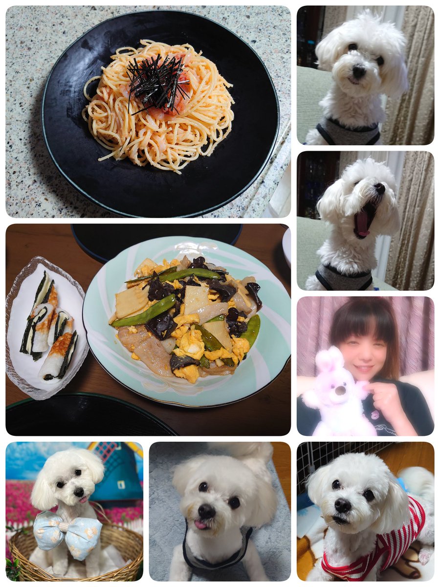 虎太朗デス🐾
モシャ②だったボクは散髪してスッキリしただワン🐾
頑張ったボクに悦ちゃんが赤い服を新調してくれただワン🐾
ボクに似合ってるかな？
悦ちゃんは何か美味しそぅなモノを作って🍺飲んでGETしてきた🐰ちゃんとお写真撮ったりして焼きもちなボクだワン🐾
皆しゃまもゆっくり休んでだワン🐾