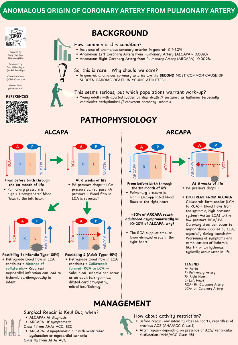 Yeo Yong Hao (@yeoyonghao) on Twitter photo 🦙It’s ALCAPA, not ALPACA 🫀🧐
Check out our latest infographics breaking down the epidemiology, pathophysiology, and management of ALCAPA and ARCAPA.
<a href="/CardioNerds/">CardioNerds</a>
#cardiotwitter #FOAMed #ACHD #MedEd 🦙It’s ALCAPA, not ALPACA 🫀🧐
Check out our latest infographics breaking down the epidemiology, pathophysiology, and management of ALCAPA and ARCAPA.
<a href="/CardioNerds/">CardioNerds</a>
#cardiotwitter #FOAMed #ACHD #MedEd